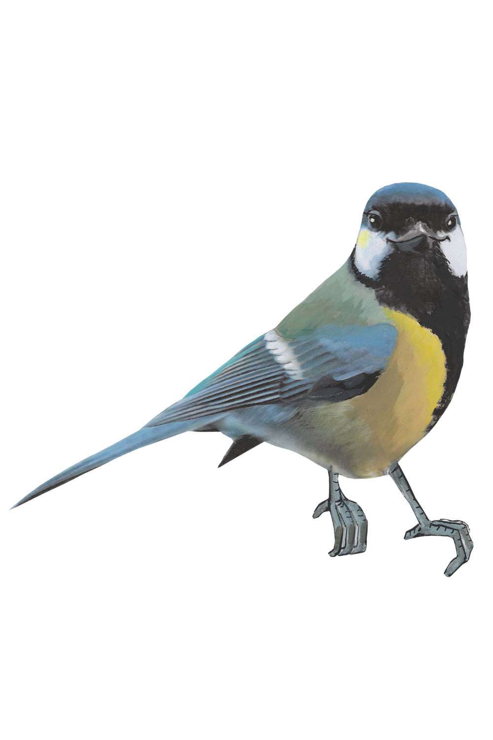 Sticky tales - Muursticker Vogel Kiki de Koolmees
