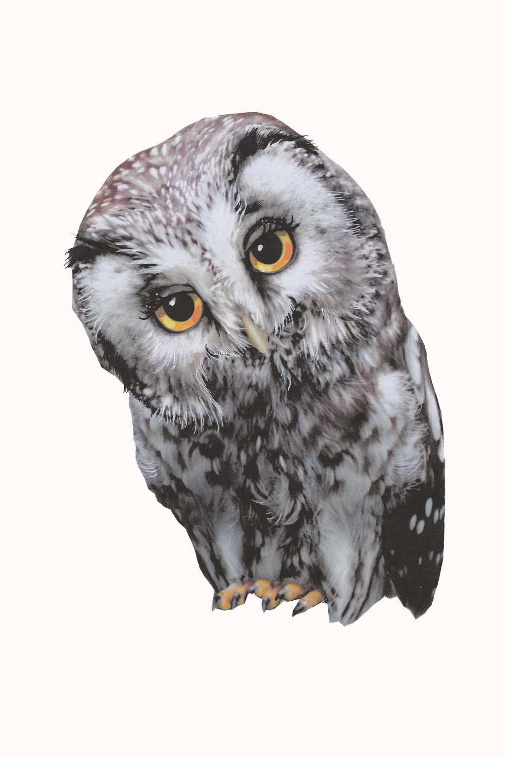 Sticky tales - Muursticker Oehoe de Uil