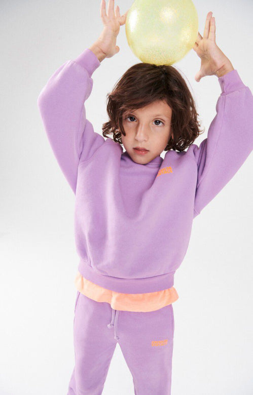 American vintage - Sweater Izubird - Parme vintage