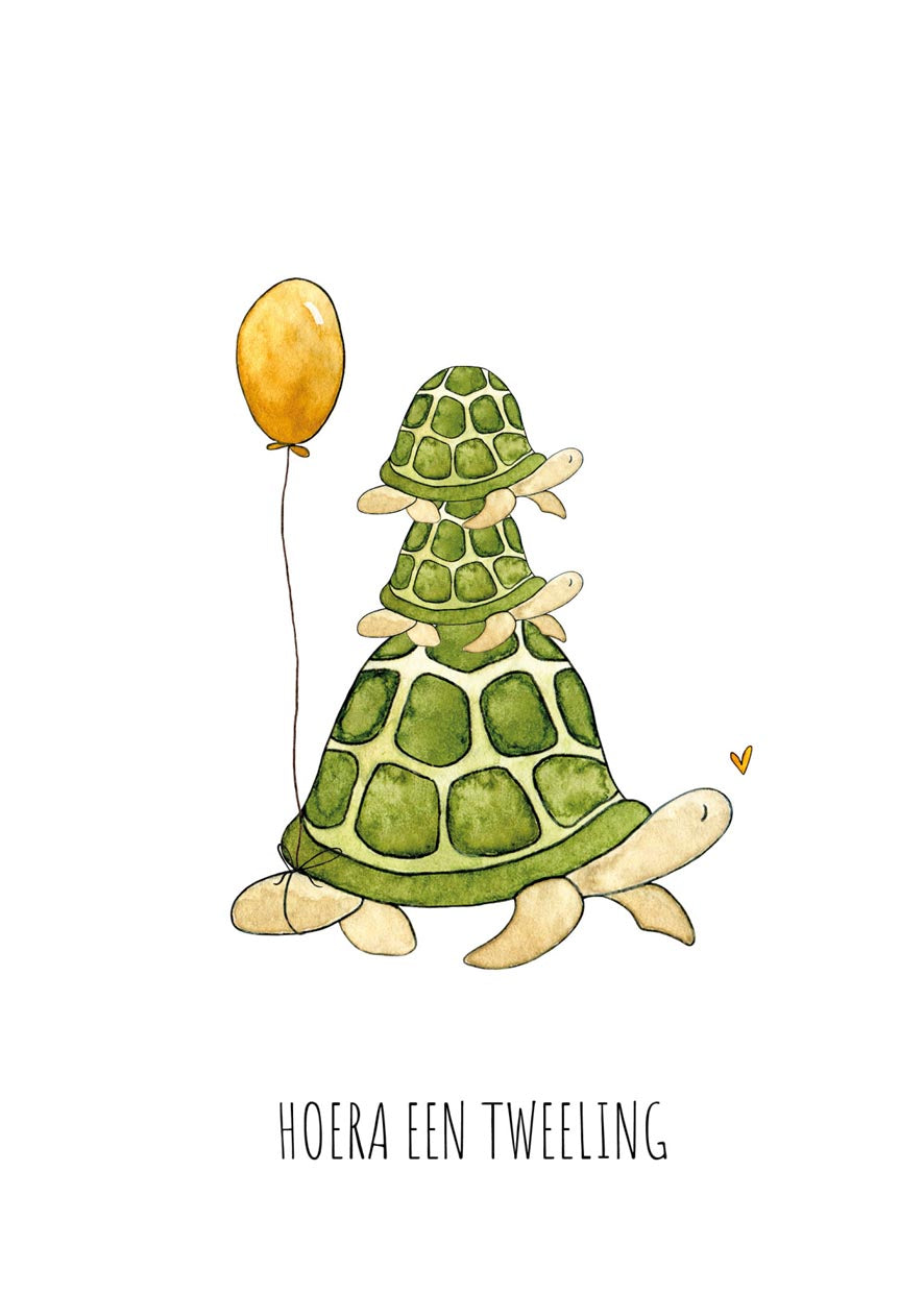 HOERA EEN TWEELING SCHILDPADJES