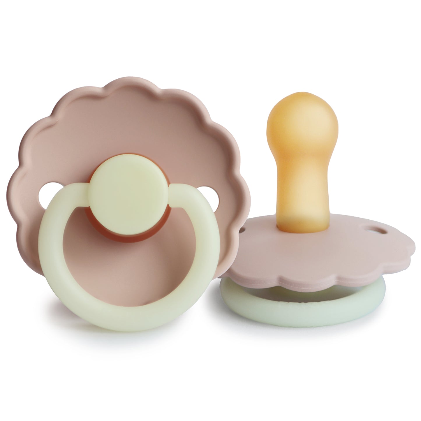 Frigg daisy night blush