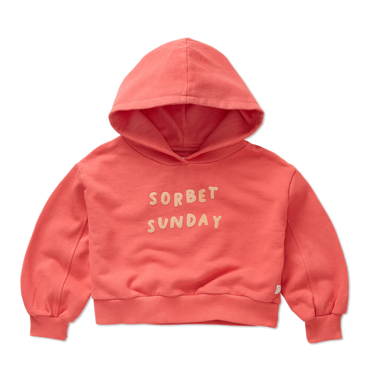 Sproet & Sprout - CROPPED HOODED SWEATSHIRT