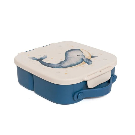 Petit monkey - Bento lunchbox - Whale